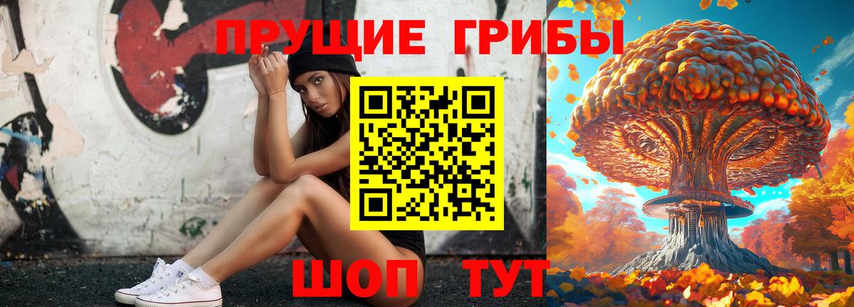 где продают наркотики  Псилоцибиновые грибы ЛСД  Вход с VPN  Псилоцибиновые грибы Psilocybe  Чебаркуль 